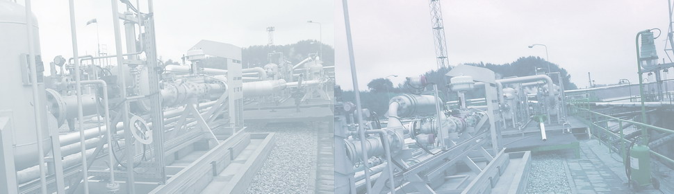 北京华麦新技术有限责任公司